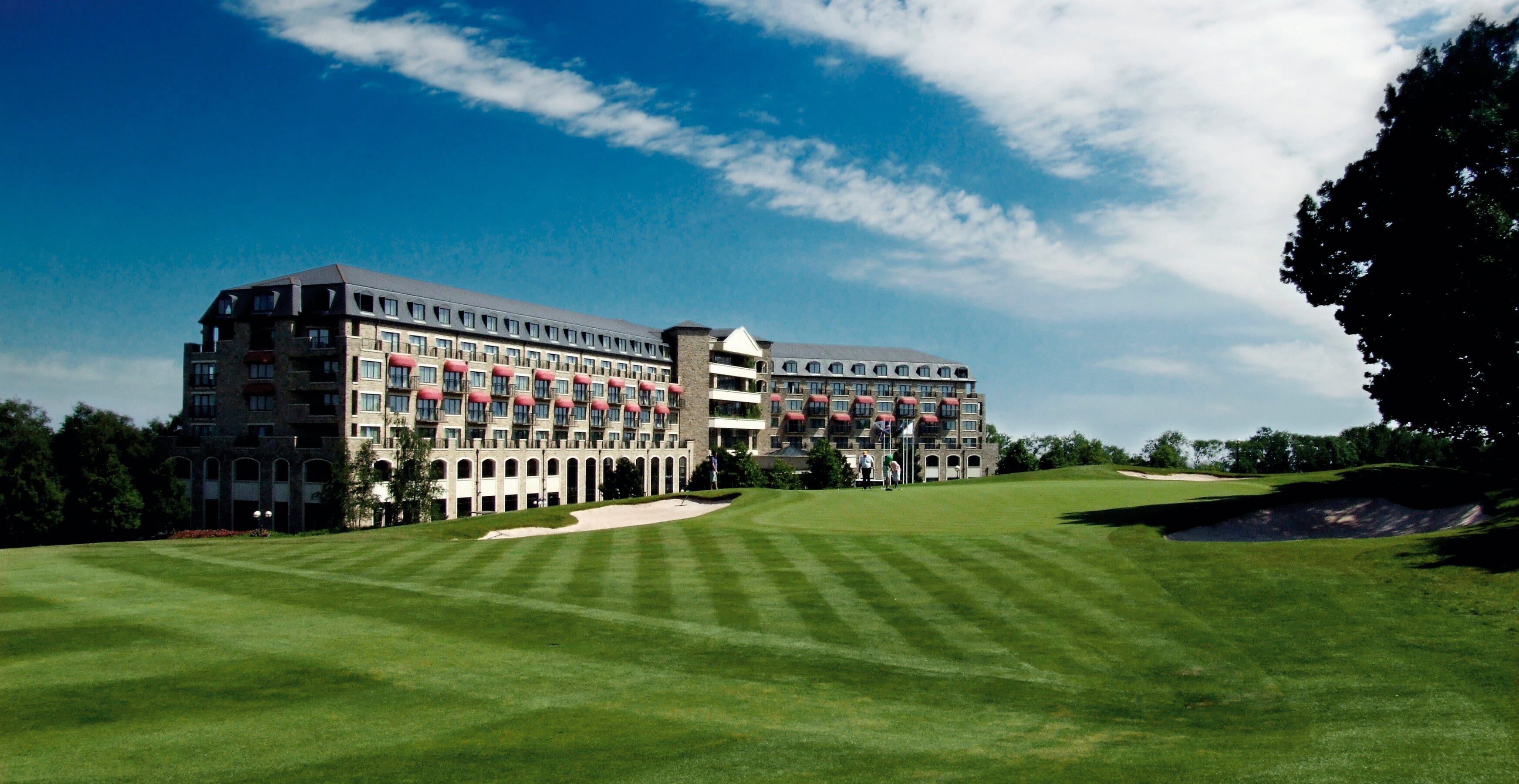 World’s top chefs head to Wales next year to compete in global competition