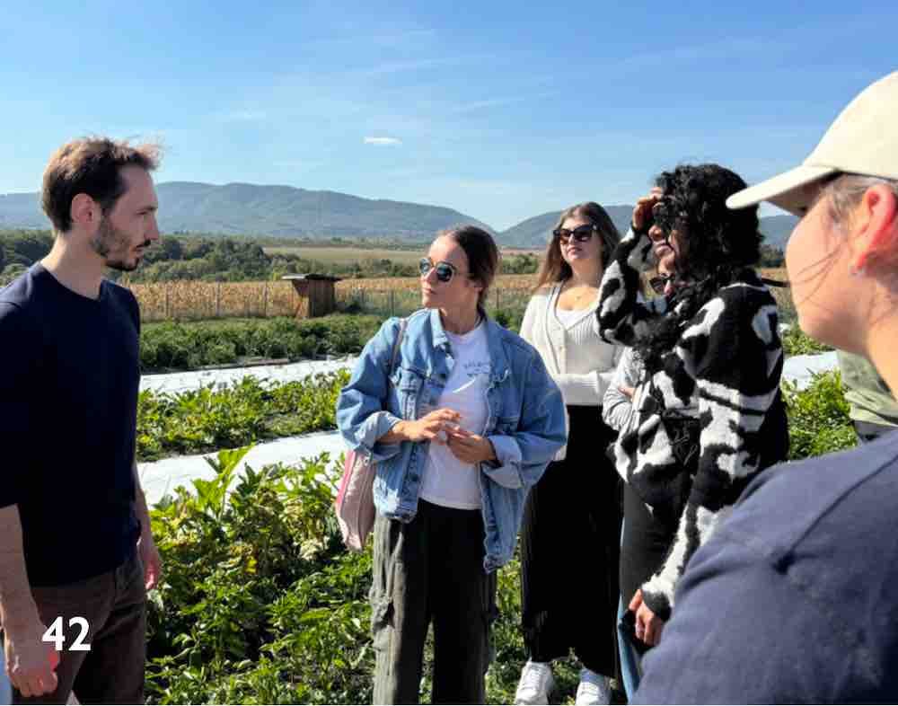 worldchefs magazine issue 31