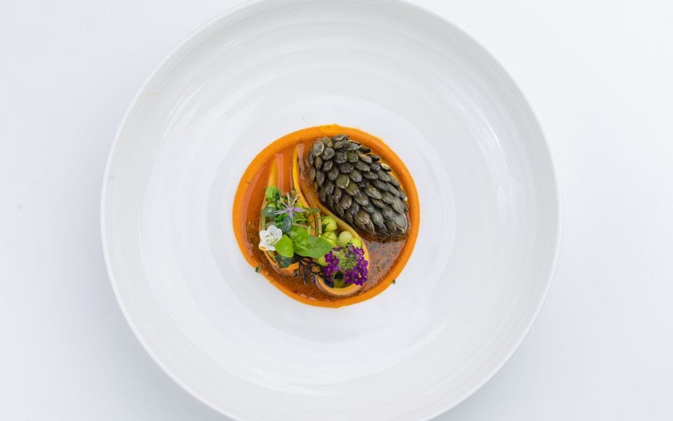 sustainable gastronomy