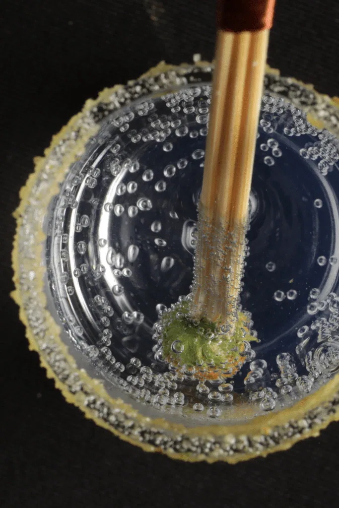 Sechuan Buttons Shot