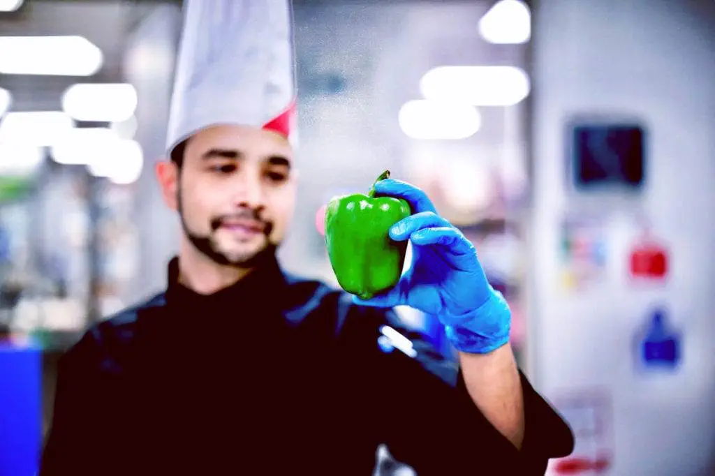 sustainable gastronomy
harish