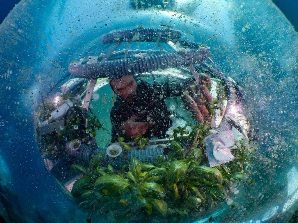 UN Ocean Conference