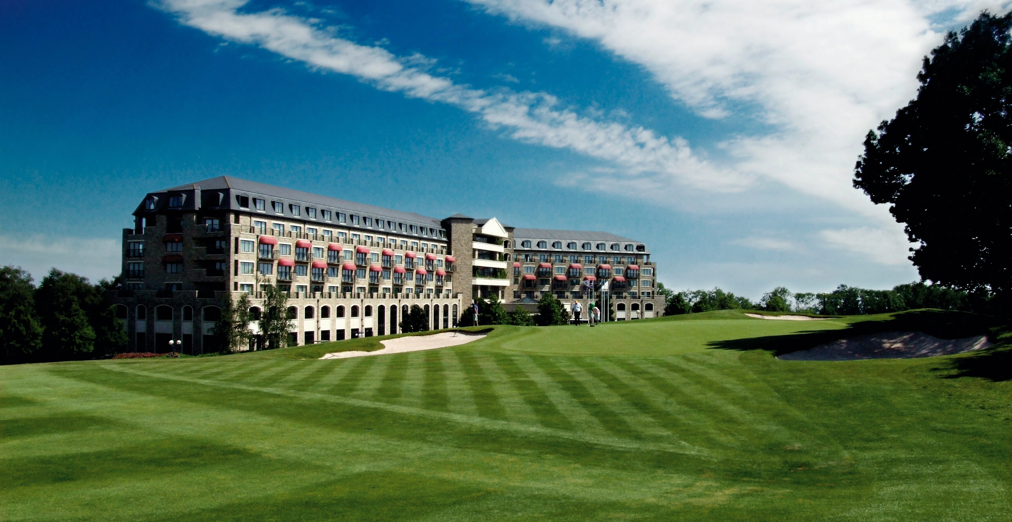 World’s top chefs head to Wales next year to compete in global competition