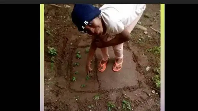harvesting
child with healthy food